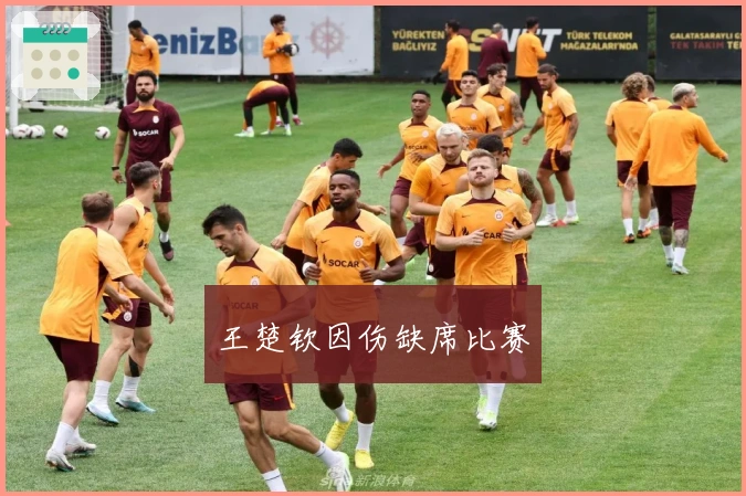 王楚钦因伤缺席比赛