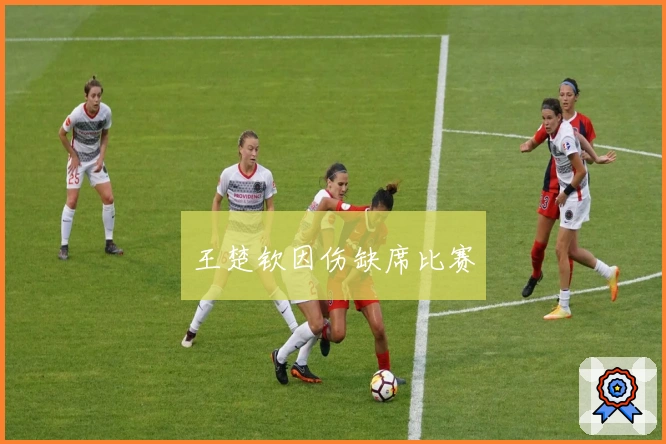 王楚钦因伤缺席比赛